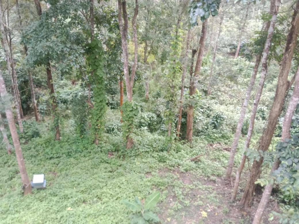 Elephant Path Coorg 3Bhk Villa Suntikoppa Dış mekan fotoğraf